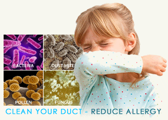 dust mites air duct cleaning